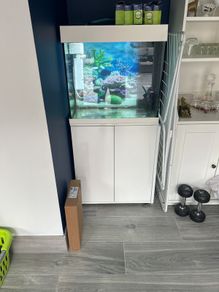 aquarium