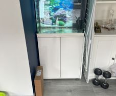 aquarium