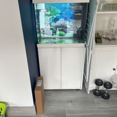 aquarium