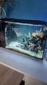 Marine tank