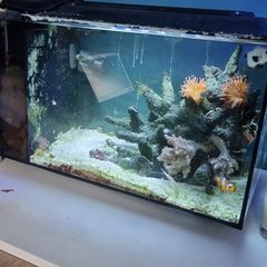 Marine tank