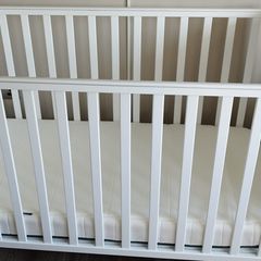 Cot