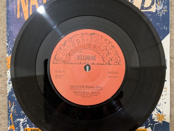 Natural Wild Heaven/Wild Stuff Rare 1986 7 inch single
