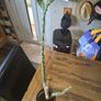 Cactus Image 3