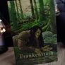 Frankenstein ! Abridged Edition ! by Mary Sheley ! Illustrated by Oscar Dominguez ! Horror ! 2017 ! by Young Readers ! Image 2