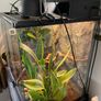 Exo Terra Glass Terrarium  45x45x60cm Image 4