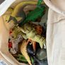 Toys Image 2