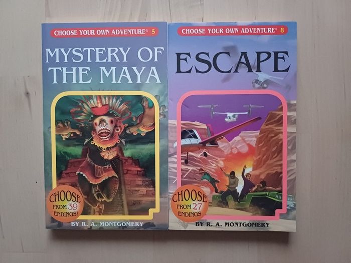 Choose Your Own Adventure by R.A. Montgomery (Illustrated Fantasy Retro Game Books 2005 NEW)