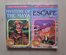 Choose Your Own Adventure by R.A. Montgomery (Illustrated Fantasy Retro Game Books 2005 NEW)
