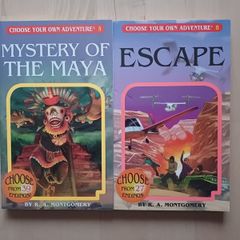 Choose Your Own Adventure by R.A. Montgomery (Illustrated Fantasy Retro Game Books 2005 NEW)