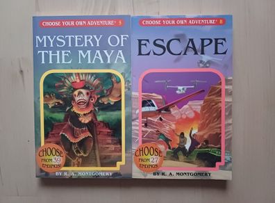 Choose Your Own Adventure by R.A. Montgomery (Illustrated Fantasy Retro Game Books 2005 NEW)