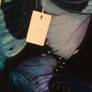 TED BAKER Karicon Butterfly Icon Tote BAG NWT Image 8