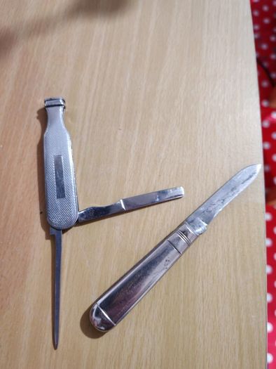 Silver Mother of Pearl Fruit Knife
