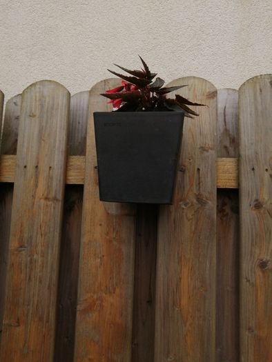 New wall hanging Ecco pot