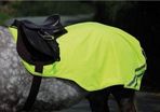 Horse reflector exercise sheet