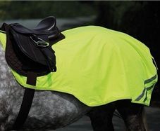 Horse reflector exercise sheet