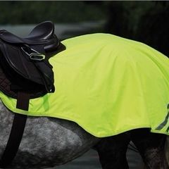Horse reflector exercise sheet