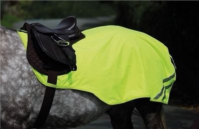 Horse reflector exercise sheet