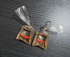 funky earrings