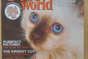 Cat World