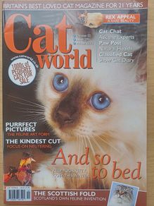 Cat World