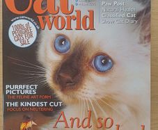 Cat World