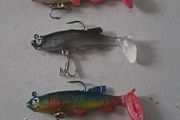 5 Soft Minnows
