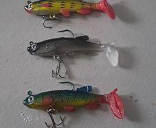 5 Soft Minnows