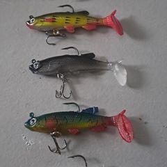 5 Soft Minnows
