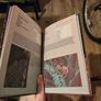 A Bug's Guide to the Shimmer Image 5