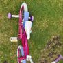 Polly 16 Inch Bike Image 5