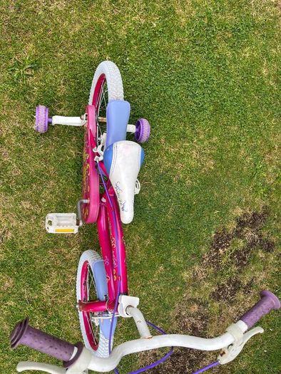 Polly 16 Inch Bike