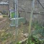 Chicken run,rabbit run Image 4