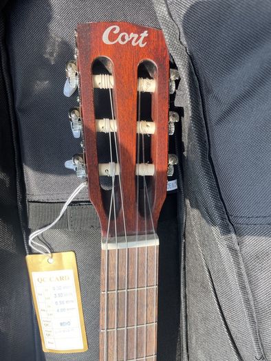 Cort Guitar