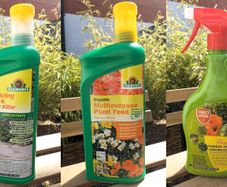 Plants Products