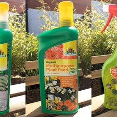 Plants Products
