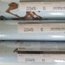 Looney tunes active wallpaper X 3 rolls Rasch Image 7