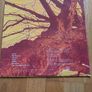 Wishbone Ash - Pilgrimage Image 2