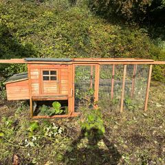 chicken run