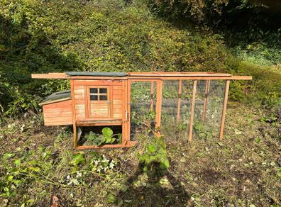 chicken run