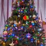Christmas tree Image 4
