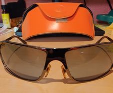 Vogue Sunglasses