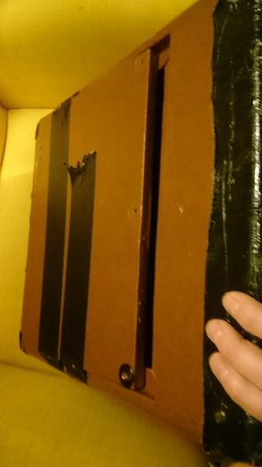PIGNOSE 30watt busking amp