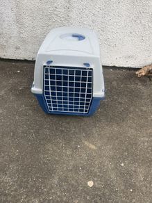 pet transport box