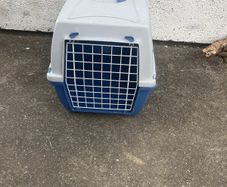 pet transport box
