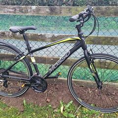 Hybrid Bike