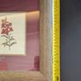 Pierre-Joseph Redoute Botanical Prints Snapdragon Raspberry Framed Pair Image 6