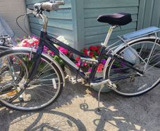 Womans Hybrid Bike
