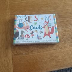 Baby First Milestone Cards