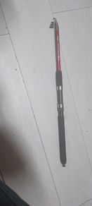 Fishing rod